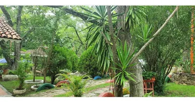 Rancho en venta