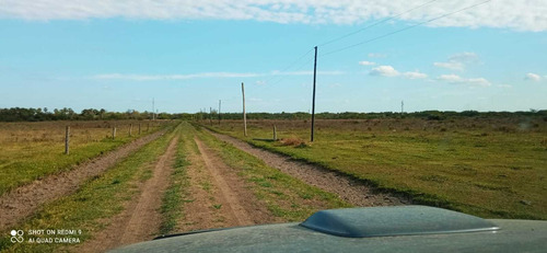 Imagen 3 de 12 de Campo Ganadero En Manuel Belgrano Formosa 944 Hectareas