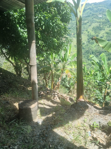 Se Vende Finca Génova Quindío
