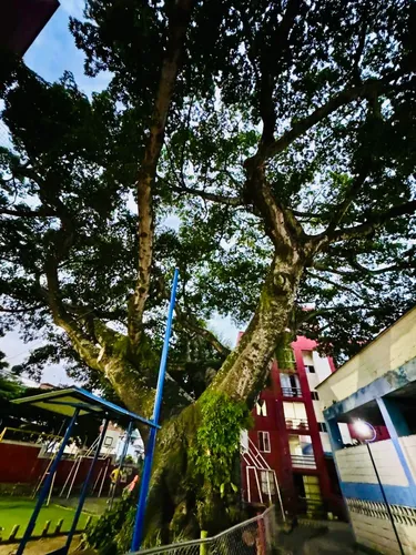 Aparta Estudio 1er Piso