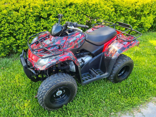 Arctic Cat Parrillero 300
