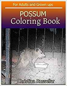 Possum Coloring Book For Adults And Grown Ups Possum Sketch 