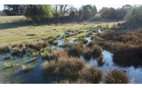 Field In Cunco Of 21.27 Ha. Incredible Opportunity