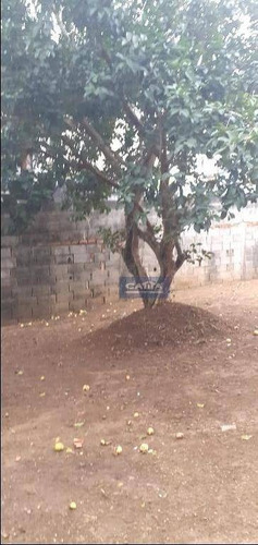 Imagem 26 de 30 de Terreno À Venda Na Vila Carmosina - Te1683