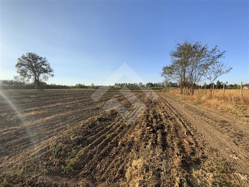 Imagen 23 de 27 de Parcela Agrícola En Venta En Paine