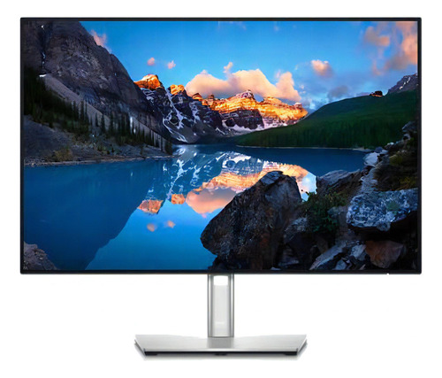 Monitor Dell UltraSharp U2421E LCD TFT 24.1" plata y negro 100V/240V