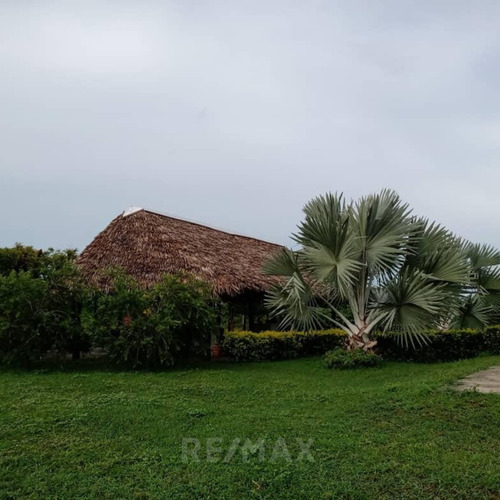 Imagen 4 de 14 de En Venta Finca Productiva En Dos Caminos Guárico