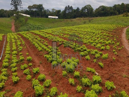 Imagem 1 de 5 de Cód 2472 - Ótimo Terreno, Oportunidade - 2472