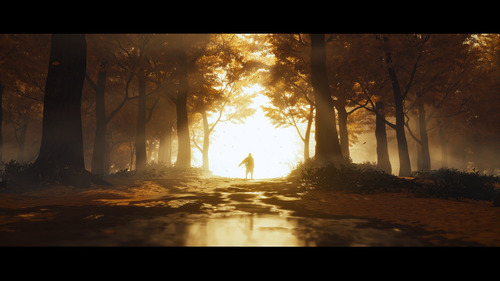 Ghost Of Tsushima Ps4 Formato Físico Original (Usado)