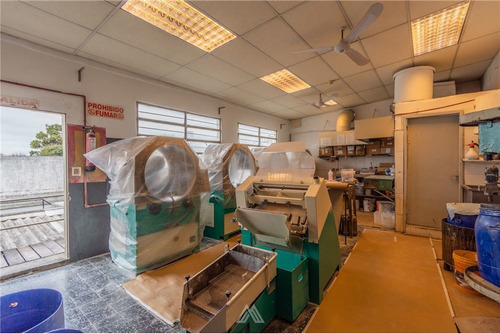 Venta De Local Industrial Y Tres Viviendas!!!
