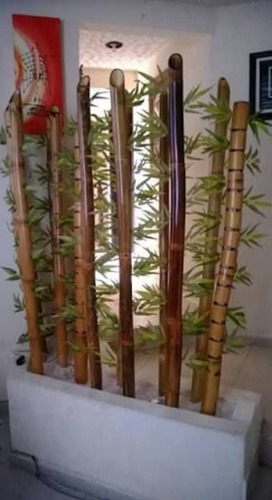 Bambú, Decoracion Y Construcción