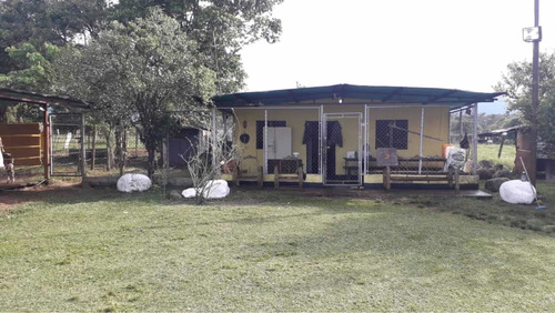 Imagen 8 de 16 de Finca Ganadera Doble Propósito Santo Domingo