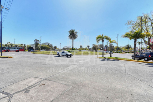 Venta Lote Sobre Cazon En El Centro De Tigre, Apto Edificio