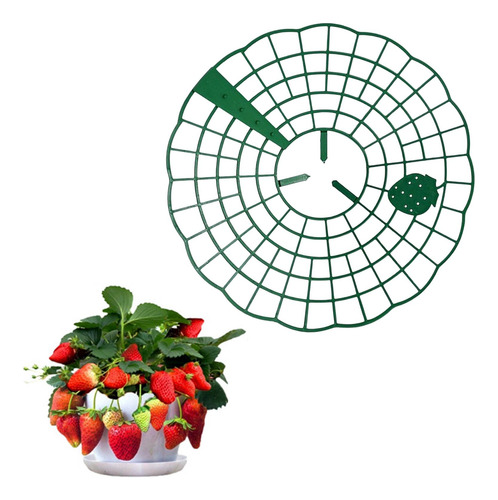 4 Strawberry Supports Strawberry Planting Frame Para Plantas