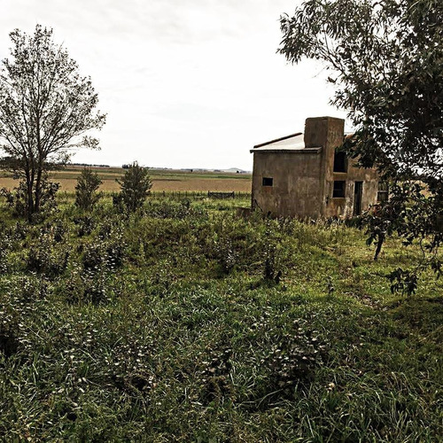 Imagen 6 de 15 de Campo - Balcarce