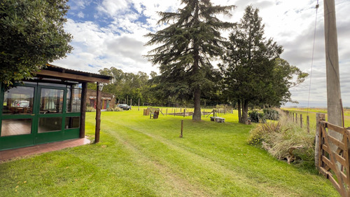 Venta Casa De Te - Vela - Tandil 