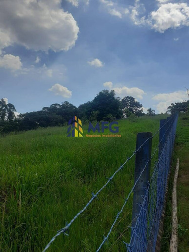 Imagem 9 de 15 de Sítio De 36.300m² Em Piedade - 10062