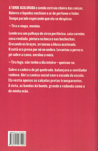 O que contei a Zveiter sobre sexo, de Braga, Flavio. Editorial Editora Record Ltda., capa mole em português, 2006