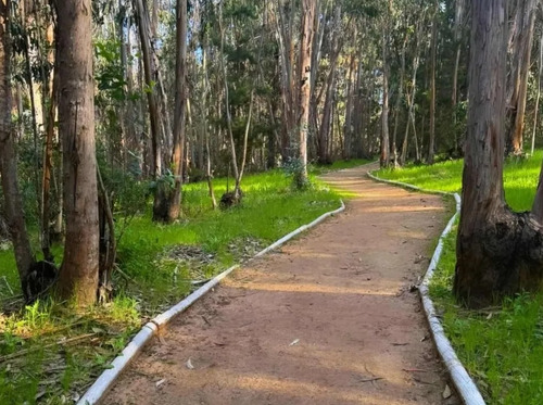 Sin Comisión Alto Las Cruces, Litoral De Los Poetas