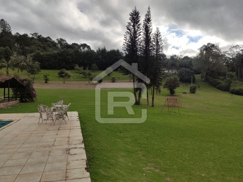 Imagem 7 de 30 de Excelente Sitio Com Topografia Plana, Rico Em Aguá - 12 - 69839868