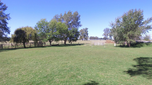 Imagen 4 de 14 de En Venta 35 Has Agricolas Con Muchas Mejoras. Mercedes (b)