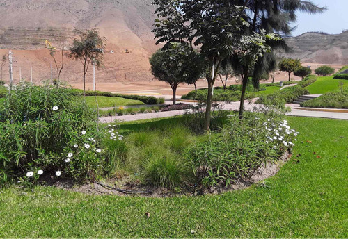 Imagen 7 de 12 de Terreno 90m2 -av. Principal- Urb. San Antonio De Pachacamac