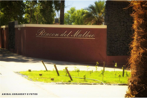Lotes Premium Rincón Del Malbec - Santa Lucia
