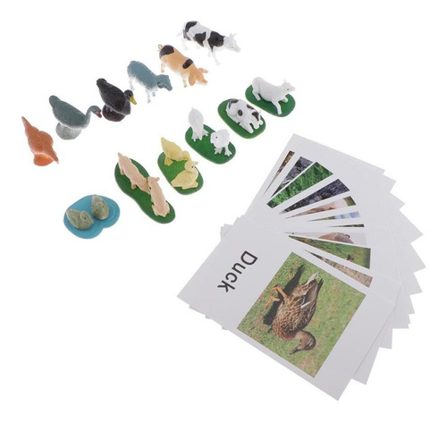 Montessori Animal Match - Animales En Miniatura Con Tarjetas