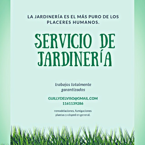Imagen 2 de 5 de Servicio Profesional De Jardinería