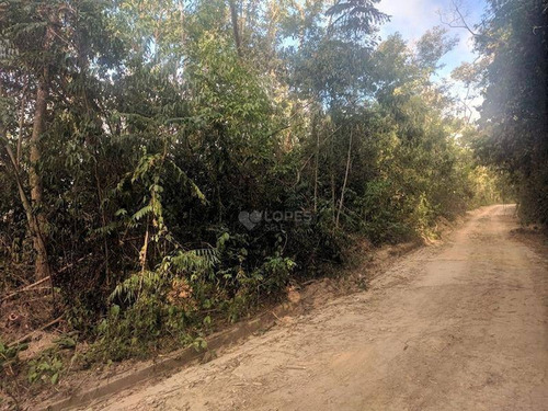 Imagem 5 de 6 de Ótima Área Plana, Em Meio À Muito Verde, 6210 M², R$ 500.000,00 - Rio Do Ouro - Niterói/rj - Te4312