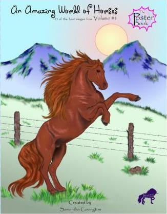 Libro Amazing World Of Horses - Samantha Covington