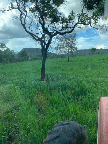 Fazenda Com 4 Dormitórios À Venda, 8820000 M² Por R$ 9.000.000,00 - Centro - Guiratinga/mt - Fa0184