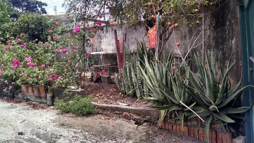 Imagem 8 de 8 de Terreno Para Venda, 250.0m² - 26275