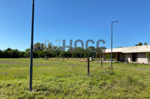 Lote Residencial Zona Quintas