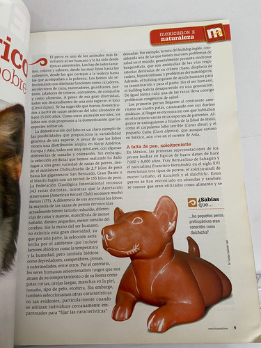 Revista Mexicanismo No.55 Oct 2012 40 Festival Cervantino (Usado)
