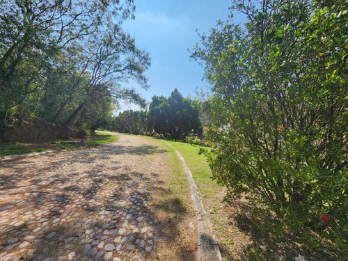 Venta De Lote San Diego 8 Sobre Boulevard Muy Cerca De Las Amenidades Y Del Hotel Del Fracc Rancho San Diego Ixtapan De La Sal Edomex. Se Incluye Proyecto