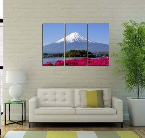 Cuadro 60x90cm Montaña Monte Fuji Japon