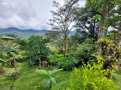 Imagen 12 de 29 de Bajó De Precio - Venta De Finca En La Parcelación Estación Popalito - Barbosa Antioquia