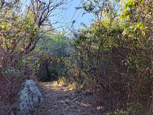 Excelente Terreno En Los Hornillos Sobre Ruta, 8.772 M2