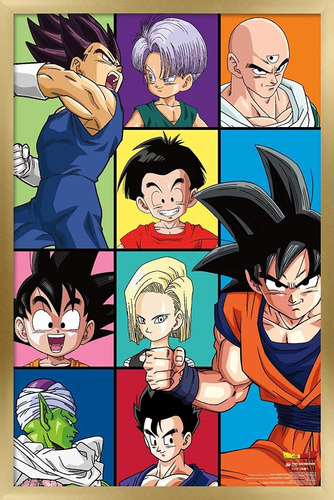 Dragon Ball Z - Póster De Pared Con Cuadrícula, 22.37...