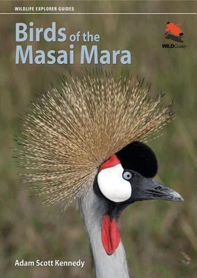 Libro Birds Of The Masai Mara