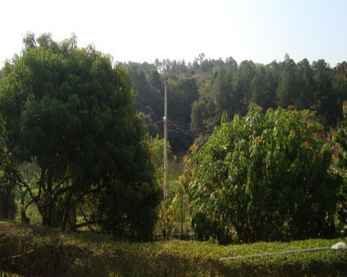 Imagem 12 de 21 de Chácara À Venda Em Araçoiaba Da Serra, Sp | Mpb Imobiliária - Ch00005 - 34469163