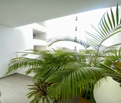 Vendo Apartamento En Pance