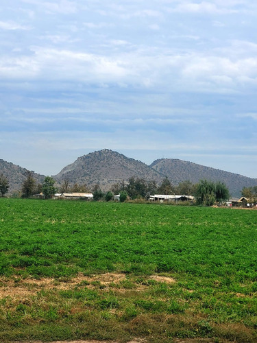 Rinconada De Maipu/autopista Del Sol 6 Hectareas
