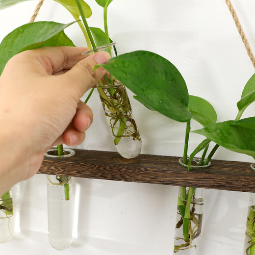 Florero De Terrario De Planta Colgante De 3 Capas 15 Tubos