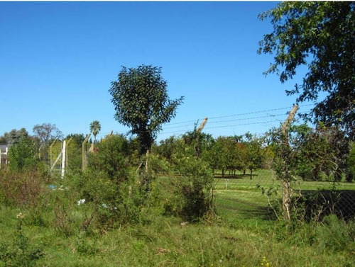 Imagen 4 de 9 de Terreno Lote En Venta Ubicado En Pilar, G.b.a. Zona Norte