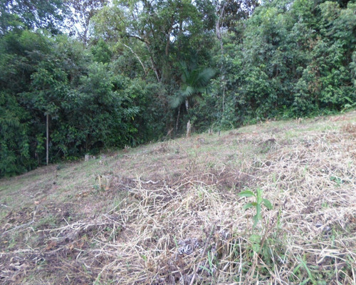 Imagem 7 de 7 de Terreno - 03710 - 33228906