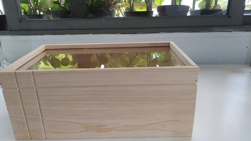 Imagen 2 de 9 de Cajas De Madera Con Tapa De Vidrio Tapa De Madera Arreglos