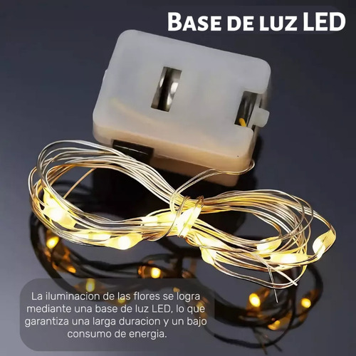Cubo Lampara De Tulipanes Con Luz, Espejo Infinito Tulipán