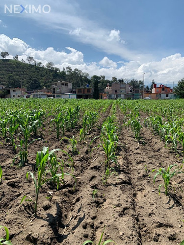 Imagen 4 de 11 de Terreno En Venta En San Diego, Ayapango, Estado De México